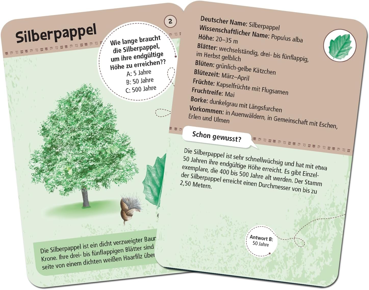 Expedition Natur. 50 heimische Bäume: entdecken & bestimmen – Bild 2