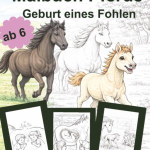 Malbuch Pferde ab 6 Geburt eines Fohlen: Süßes Fohlen mit Bildern der Geburt, einfache Motive, Ausmalspaß für Jungen und Mädchen – Geschenkidee für kleine Pferde Fans