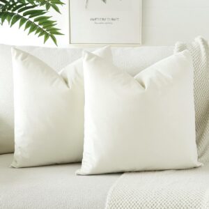 JOTOM Velvet Cushion Cover, Sofa Cushion Cover, Decorative Cushion Covers for Sofa, Living Room, Bedroom, Set of 2, 50 x 50 cm, Beige