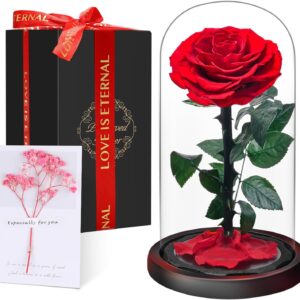 Premium Eternal Rose in Glass with Gift Box, Real Preserved Flower Handmade for 5 Years, Unique Gift for Wife, Mum, Grandma as a Token of Love for Valentine’s Day, Mother’s Day, Christmas