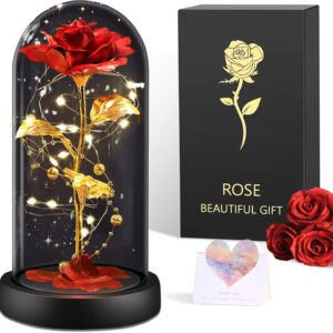 BOLEi Gifts for Women, Eternal Rose in Glass with LED (Classic Red Rose)