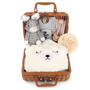 Personalised Baby Gift Set for Birth – Newborn Gift Basket for Girls & Boys with Organic Cotton Blanket, Wooden Toy, Plush Toy & Greeting Card, Birth Cards, Socks