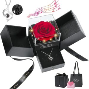 Emibele Eternal Real Red Rose with S925 Sterling Silver Necklace