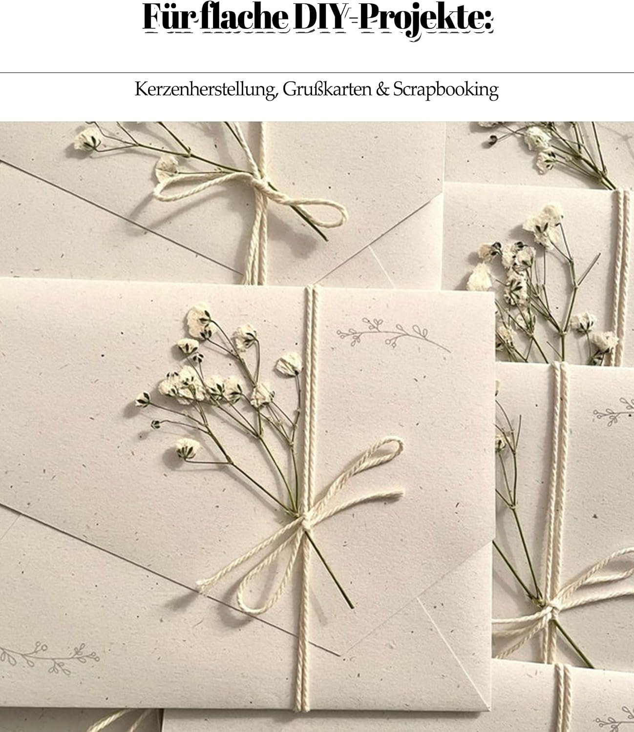 Schleierkraut Getrocknet Beige Gepresste Blumen Dried Flowers – Bild 4
