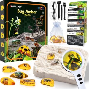 AMOSTING Bernstein Excavation Set for Children from 6-12 Years