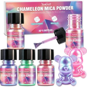 Chameleon Mica Powder 5 x 3 g Colour Shift Set for Epoxy Resin Nail