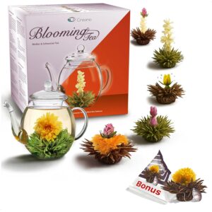 Creano Tea Flowers Gift Set – Blooming Tea with 500 ml Glass Jug & 6 x Black & White Tea + 1 x Teelini Black Tea Bonus Ball – 8 Pieces