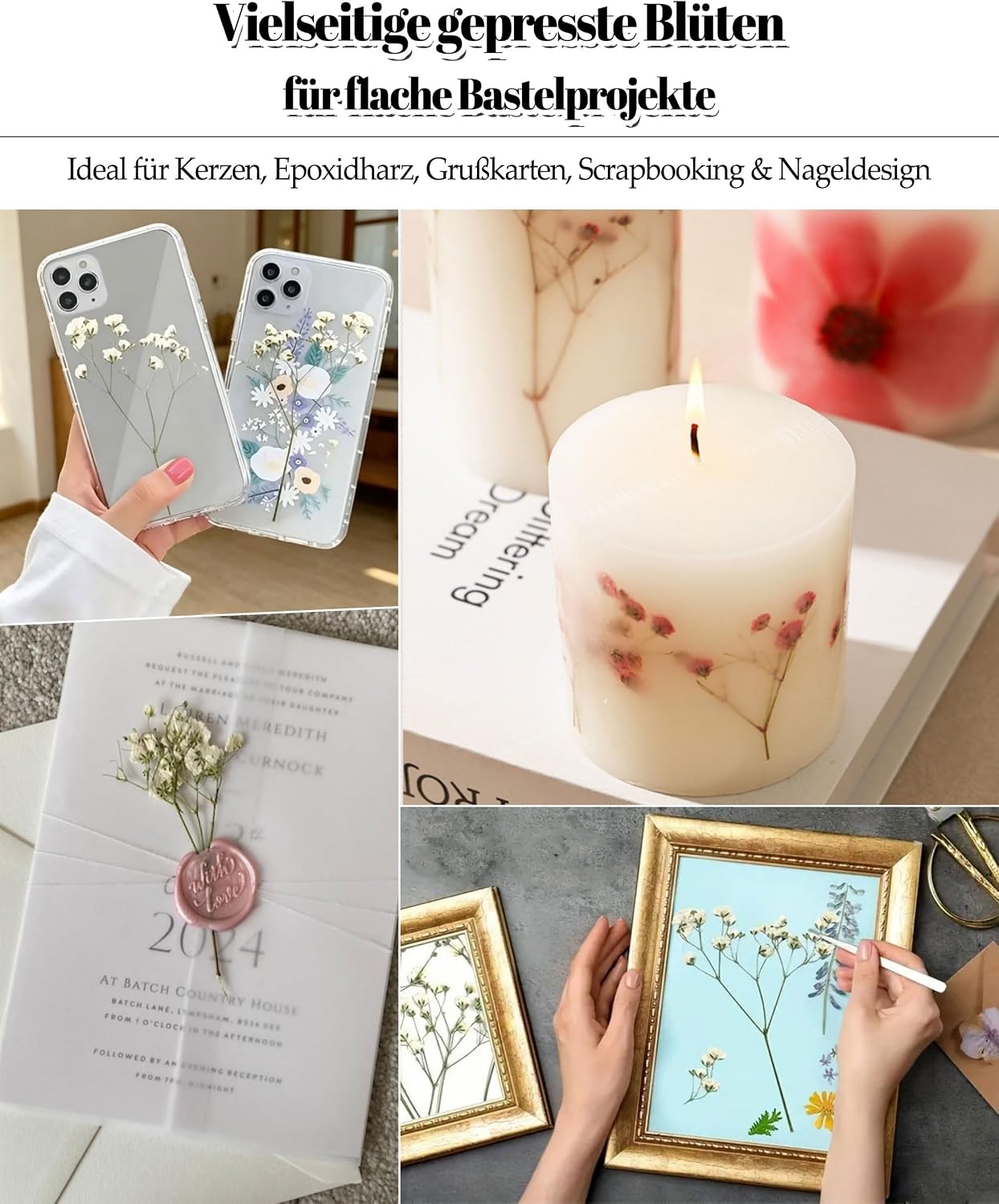 Schleierkraut Getrocknet Beige Gepresste Blumen Dried Flowers – Bild 2