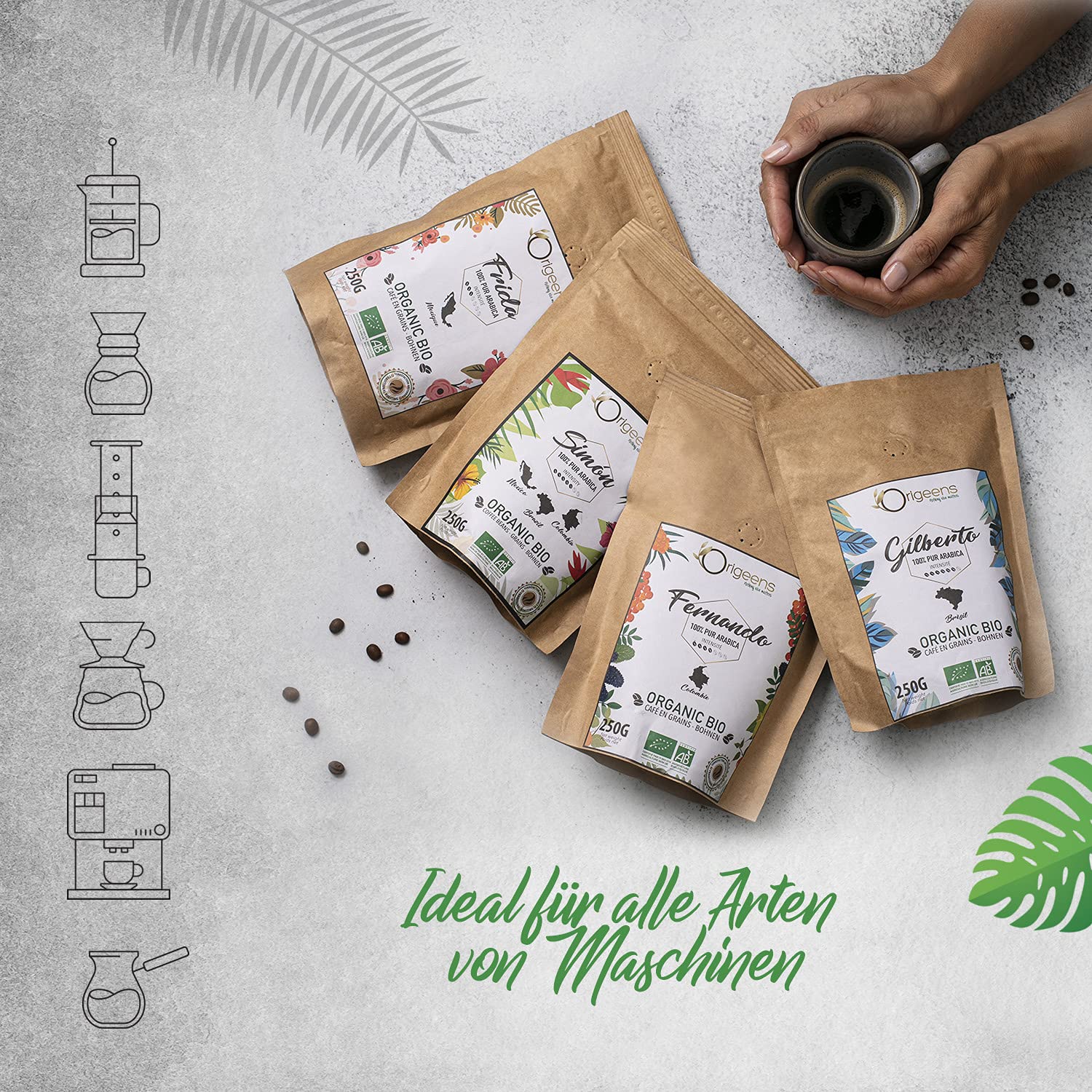 ORIGEENS Organic Ground Coffee Tasting Set – Traditional Roasting, 4 x 250 g – Organic Coffee Ground Arabica – Coffee Gift Set – Bild 6