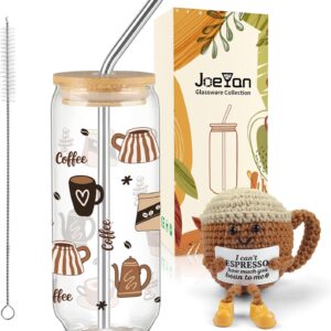 Joeyan Crochet Gift for Emotional Support, 600 ml Glass Cup with Lid and Straw for Iced Coffee, Tea, Birthday Gift Idea for Coffee Lovers, Women, Men, Friends, Colleagues, Family