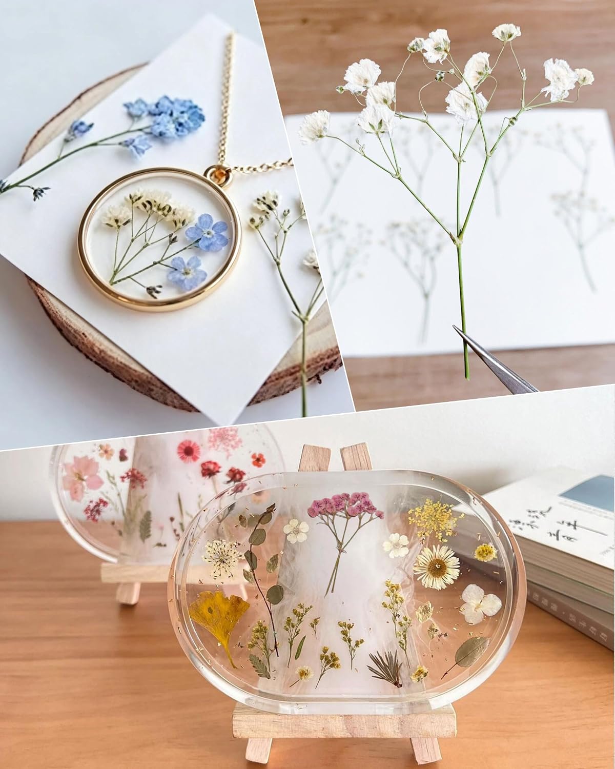 Schleierkraut Getrocknet Beige Gepresste Blumen Dried Flowers – Bild 3