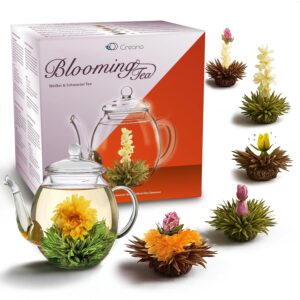 Creano Teeblumen Mix – Gift Set Blooming Tea with Glass Jug 500 ml White Tea & Black Tea with 6 Tea Balls Each 3 x White & Black Tea – 7 Pieces