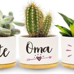 Best Grandma in the World, Birthday Gift, Herb Garden Gifts, Mother's Day or Christmas, Flower Pots for Planting