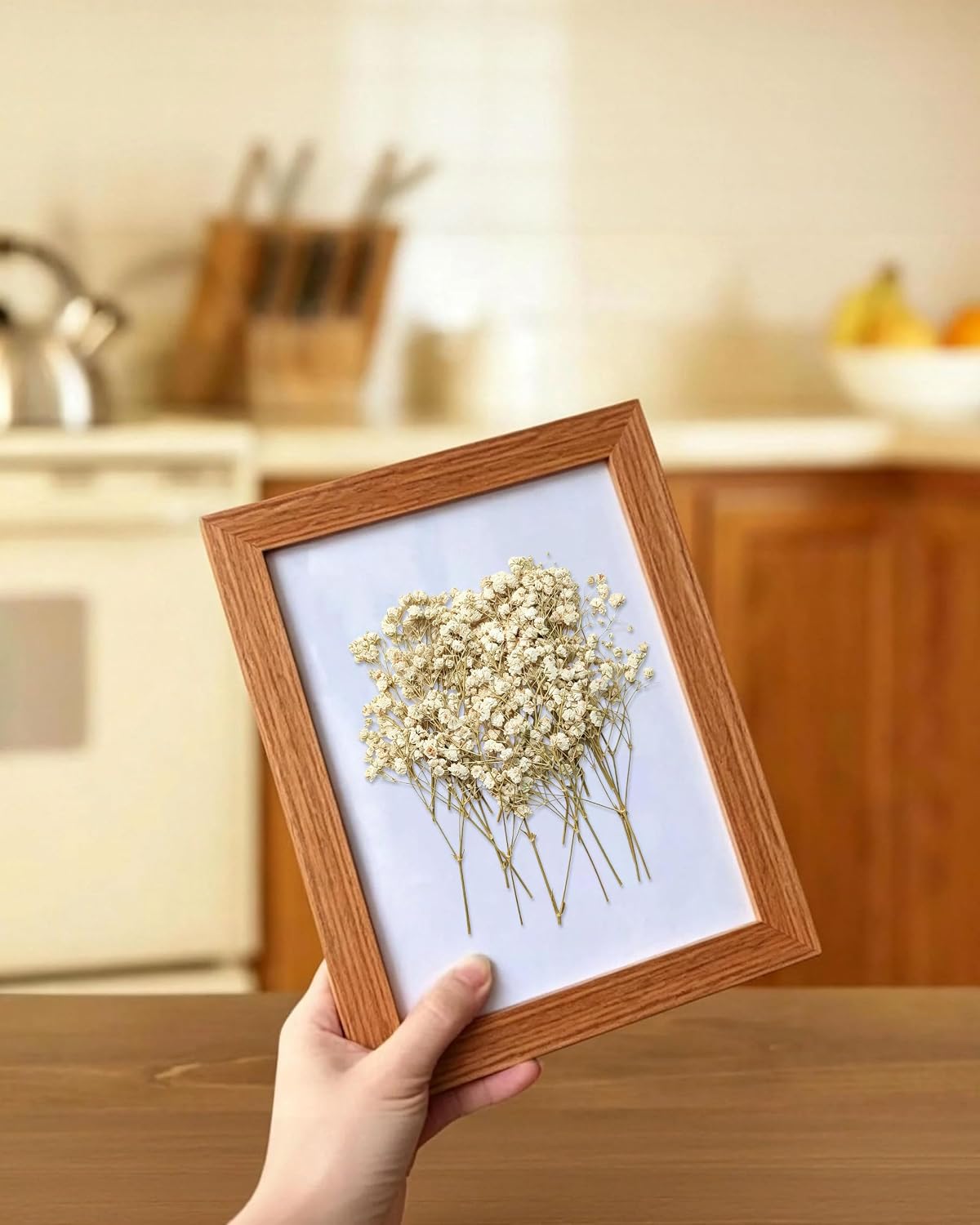 Schleierkraut Getrocknet Beige Gepresste Blumen Dried Flowers – Bild 6