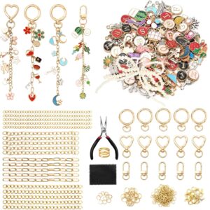 ASTNIC 316 Pieces DIY Key Chain Craft Charms Pendant Set, Creative