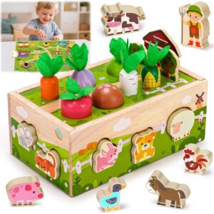 Montessori Toy from 1 Year Old Gift 1 2 3 Years Boys Girls