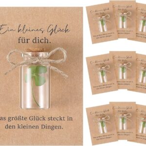 Hestya 20 Sets Wish Fulfiller Good Luck Gift Lucky Charm Guest Gift