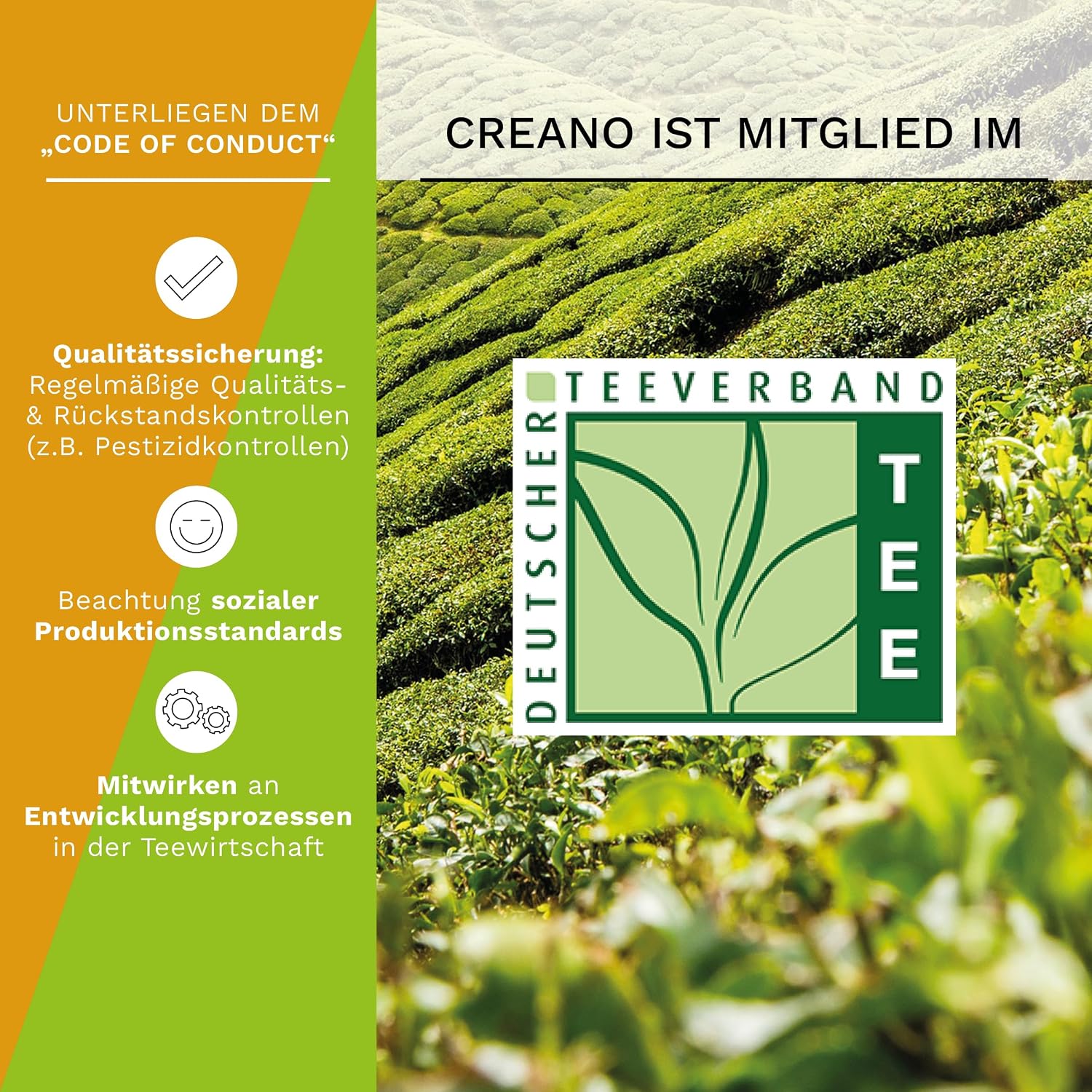 Creano 4 Tea Flowers in Elegant Gift Box - Teelini White & Green Tea in Cup Size – Bild 4
