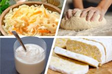 Welche Lebensmittel sind fermentiert? (Übersicht)
