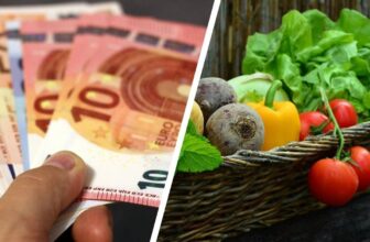 So teuer ist vegane Ernährung wirklich!
