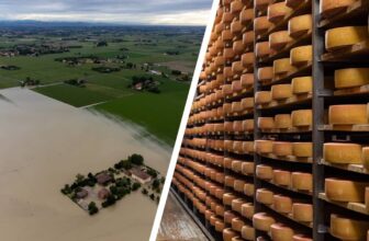 Klimakiller-Käse? So wesentlich sind die Folgen!