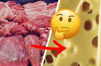 Käse-Paradoxon: Deshalb ist Käse kein guter Fleischersatz!