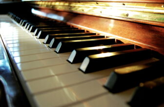 Tierprodukte in Musikinstrumenten