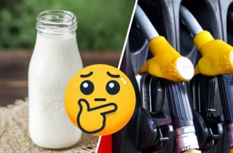 Kuhmilch so klimaschädlich wie brennendes Benzin – wirklich?