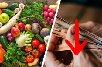 Studie: Staat verliert 4 Mrd. Euro durch MwSt.-Geschenke für Tierprodukte