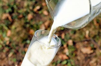 Enthält Sojamilch Laktose (Milchzucker)?