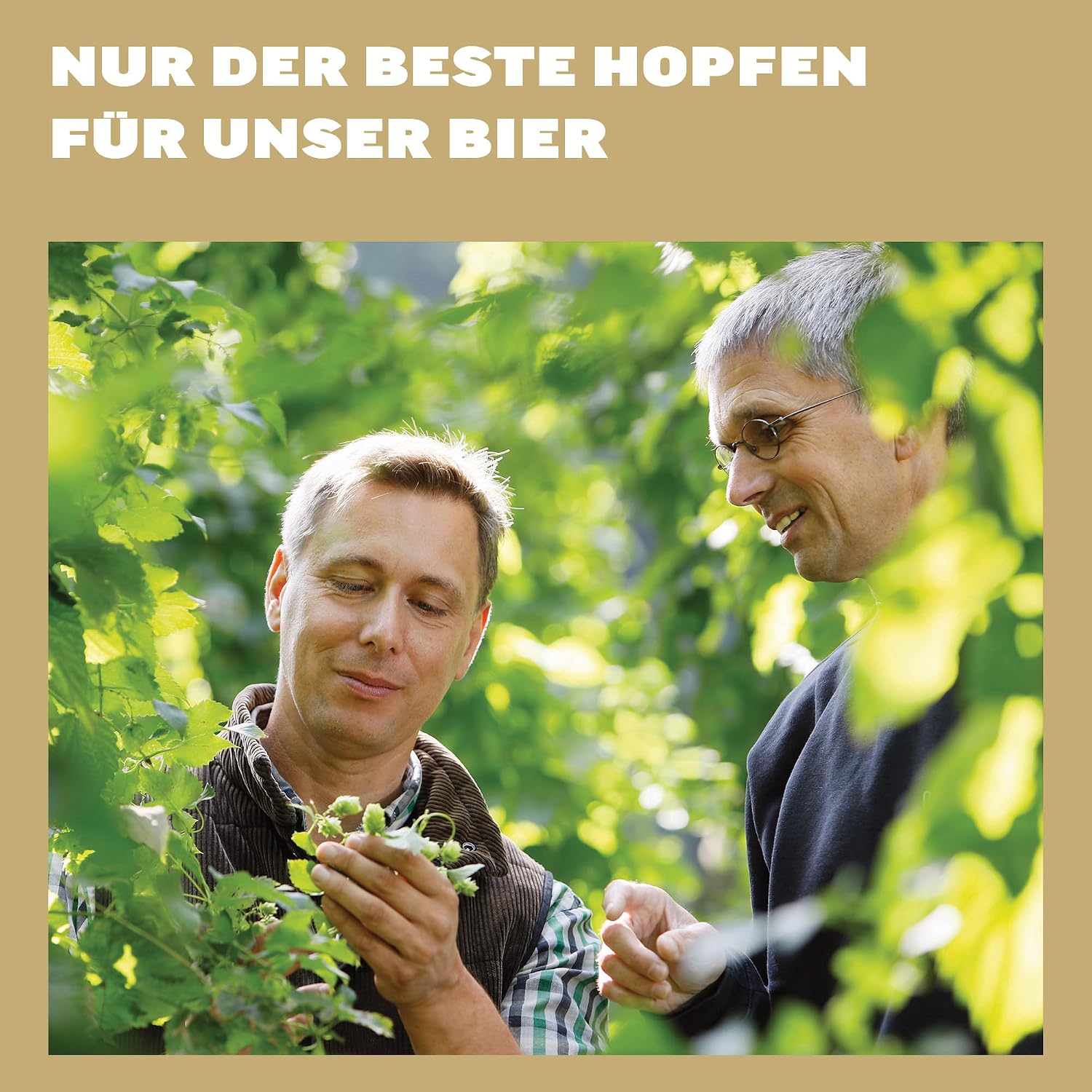 Bitburger 0.0% Herb Pils Alcohol-Free – Canned Beer 24 x 0.5 L Sugar-Free – Bild 6
