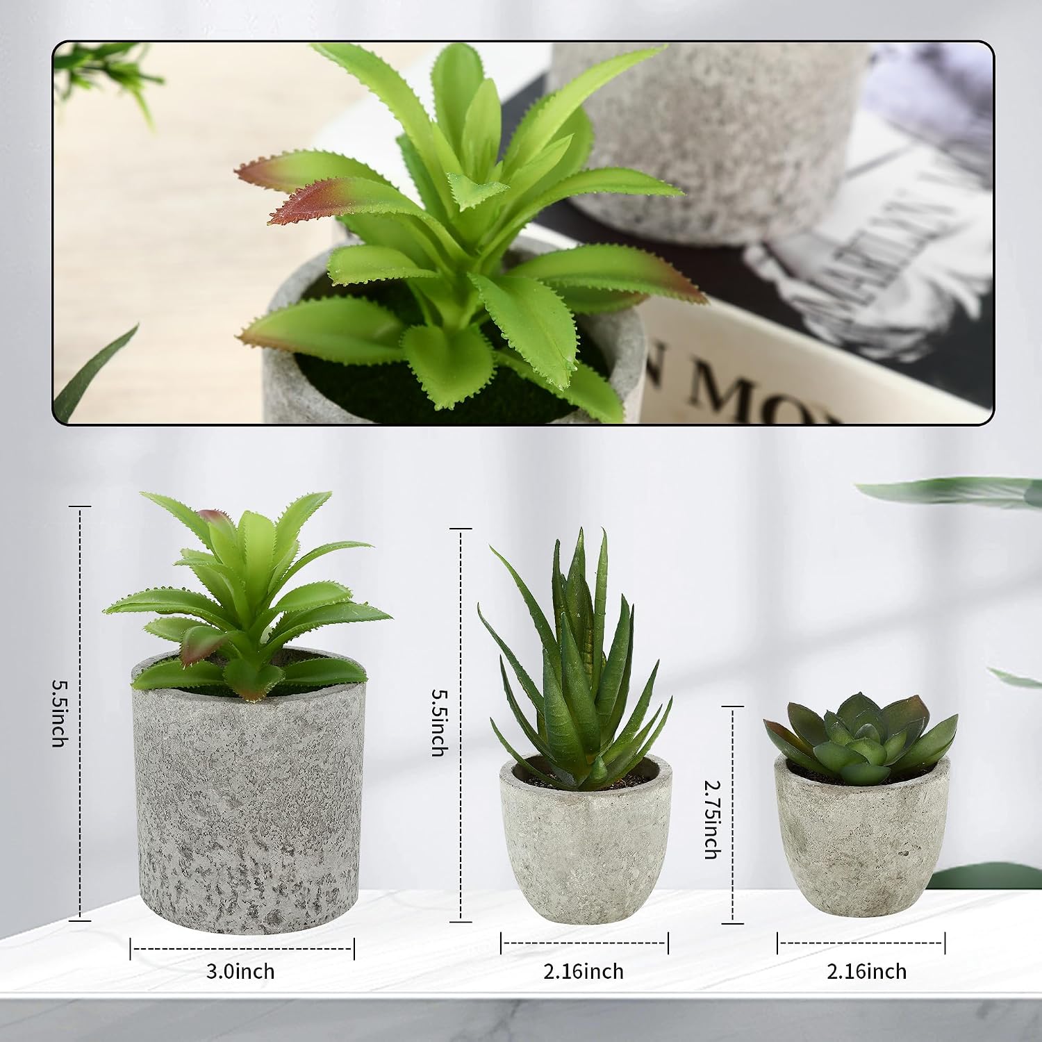BUCOMTU Pack of 5 Artificial Plants, Mini Artificial Plants Snake Tongue, Agave Succulent, Eagle Claw Aloe, Artificial Plants for Bedroom, Office Decoration (Original Colour) – Bild 2