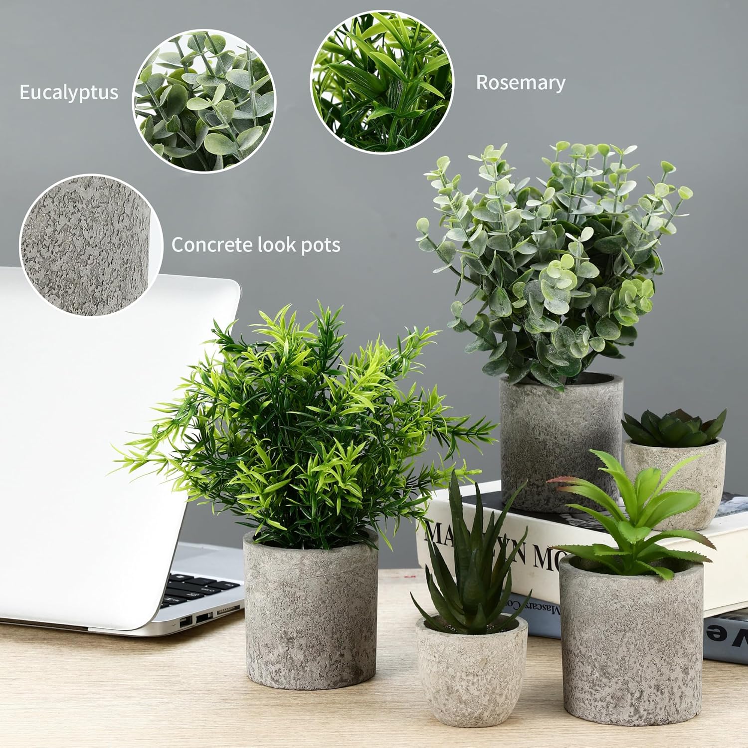 BUCOMTU Pack of 5 Artificial Plants, Mini Artificial Plants Snake Tongue, Agave Succulent, Eagle Claw Aloe, Artificial Plants for Bedroom, Office Decoration (Original Colour) – Bild 4