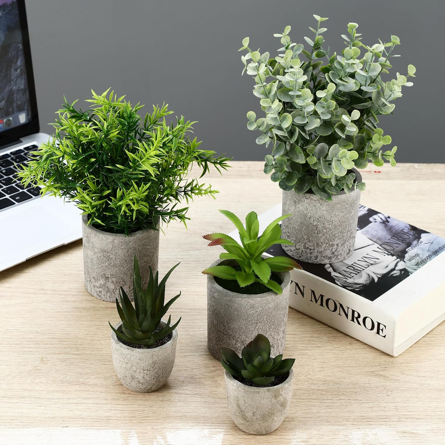 BUCOMTU Pack of 5 Artificial Plants, Mini Artificial Plants Snake Tongue, Agave Succulent, Eagle Claw Aloe, Artificial Plants for Bedroom, Office Decoration (Original Colour) – Bild 5