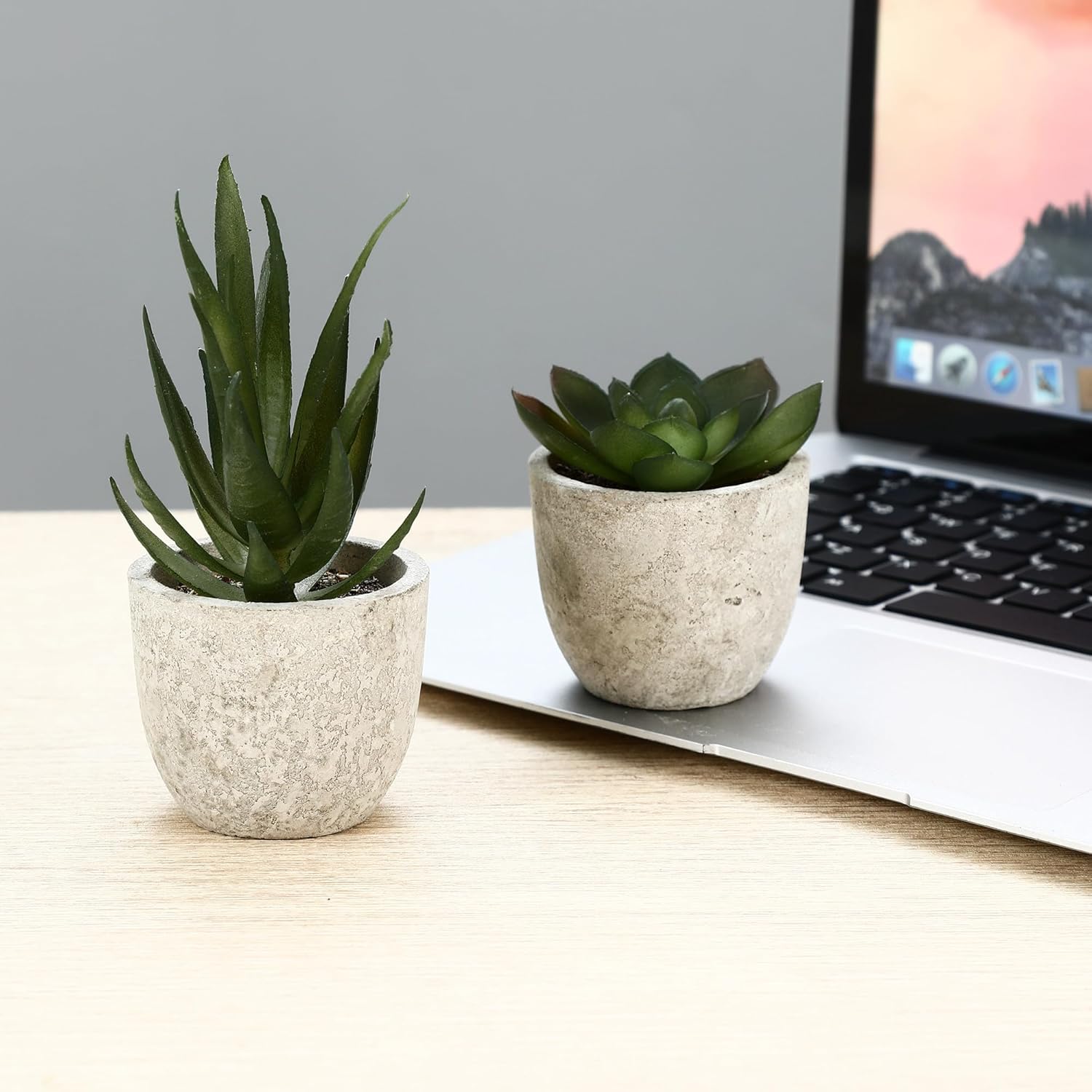 BUCOMTU Pack of 5 Artificial Plants, Mini Artificial Plants Snake Tongue, Agave Succulent, Eagle Claw Aloe, Artificial Plants for Bedroom, Office Decoration (Original Colour) – Bild 6