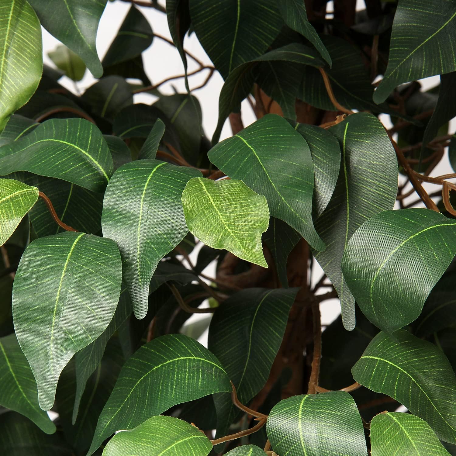 Artificial Plant Large Artificial Tree Ficus Benjamini Artificial Plant Tree with Real Wood Trunk Ideal for Interior Decoration Green – Bild 3