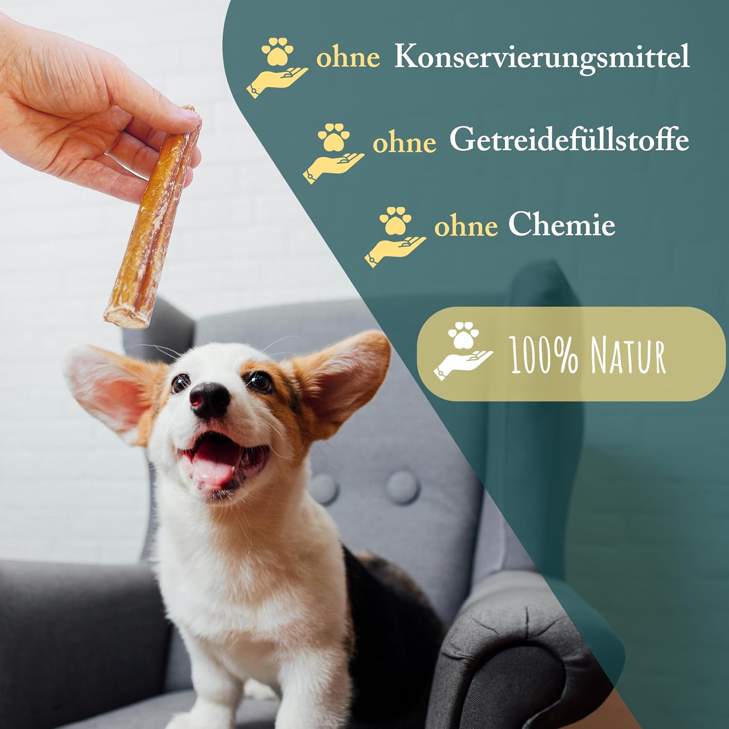 Oxsenziemer for Dogs, Pack of 20, 12 cm, Natural and High-Quality Ox Brick Pieces, Bully Sticks, Low Fat and Protein Rich Chew Items for Dental Care Wuffsnacks – Bild 6