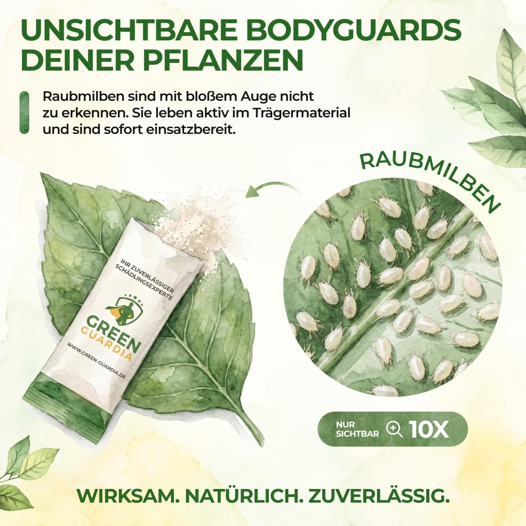 Green Guardia Predatory Mites Mix Against Thrips & Spider Mites – Bild 7
