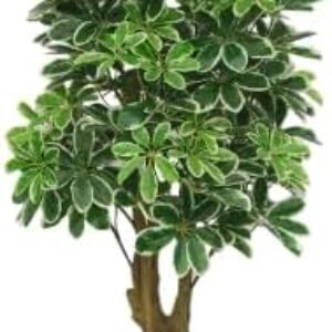 Lacers SMARAGDLINE Easy-Care Artificial Schefflera - 130 cm Radiant Aralia Realistic Look, Decoration for Living Room, Balcony and Office Spaces - Easy to Clean, Long-Lasting without Special Care