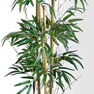 Twiggy Bamboo 90 cm DA Artificial Tree Decorative Tree Artificial Bamboo Decorative Bamboo Artificial Plants Artificial Bamboo Tree Plant