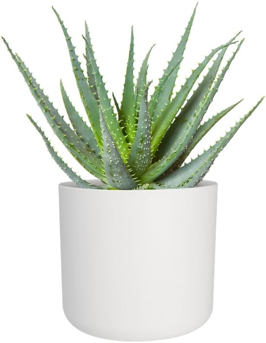 elho B.for Soft Round Flower Pot 25 cm White – Bild 7