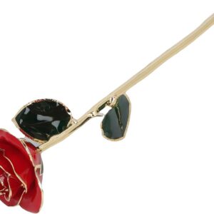 Ejoyous 24k Gold Ros, Handmade Preserved Rose, Eternal Flower Rose with Gift Box, Unusual Gifts, Wife, Girlfriend, Grandma, Valentine’s Day, Mother’s Day, Birthday, Wedding Day, Christmas, Anniversary