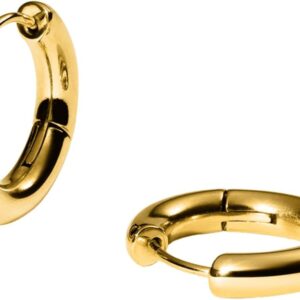 Purelei Small Glamorous Hoop Earrings – Stainless Steel Hinged Earrings – 14K Gold Plated, Silver or Rose – 21mm Diameter – Curated Ear Look – Everyday Jewellery – Waterproof