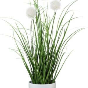 Artificial Grass Bush 36 cm with Decorative Pom Poms in White Plastic Pot I Artificial Decorative Grass in Pot I Decorative Grass for Indoor I High-Quality & Decorative Decorative Plant I Artificial Plant in Pot