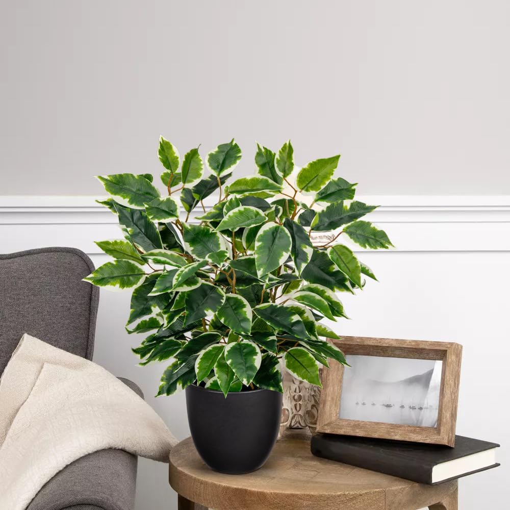 Hollyone Artificial Plants Like Real Ficus 40 cm Artificial Ficus Plants in Pot Green Plant Decorative Indoor Plant for Windowsill Living Room Bathroom Table Decoration Light Green – Bild 6