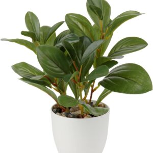 28 cm Artificial Plants in Pot for Home Decoration, Artificial Indoor Plant, Camellia, Flower Arrangements, Home and Office Decoration, Desktop Bonsai, Artificial Plants with Pots, Table Decoration, Home, Balcony, Office Decoration