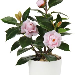 28 cm Artificial Plants in Pot for Home Decoration, Artificial Indoor Plant, Camellia, Flower Arrangements, Home and Office Decoration, Desktop Bonsai, Artificial Plants with Pots, Table Decoration,