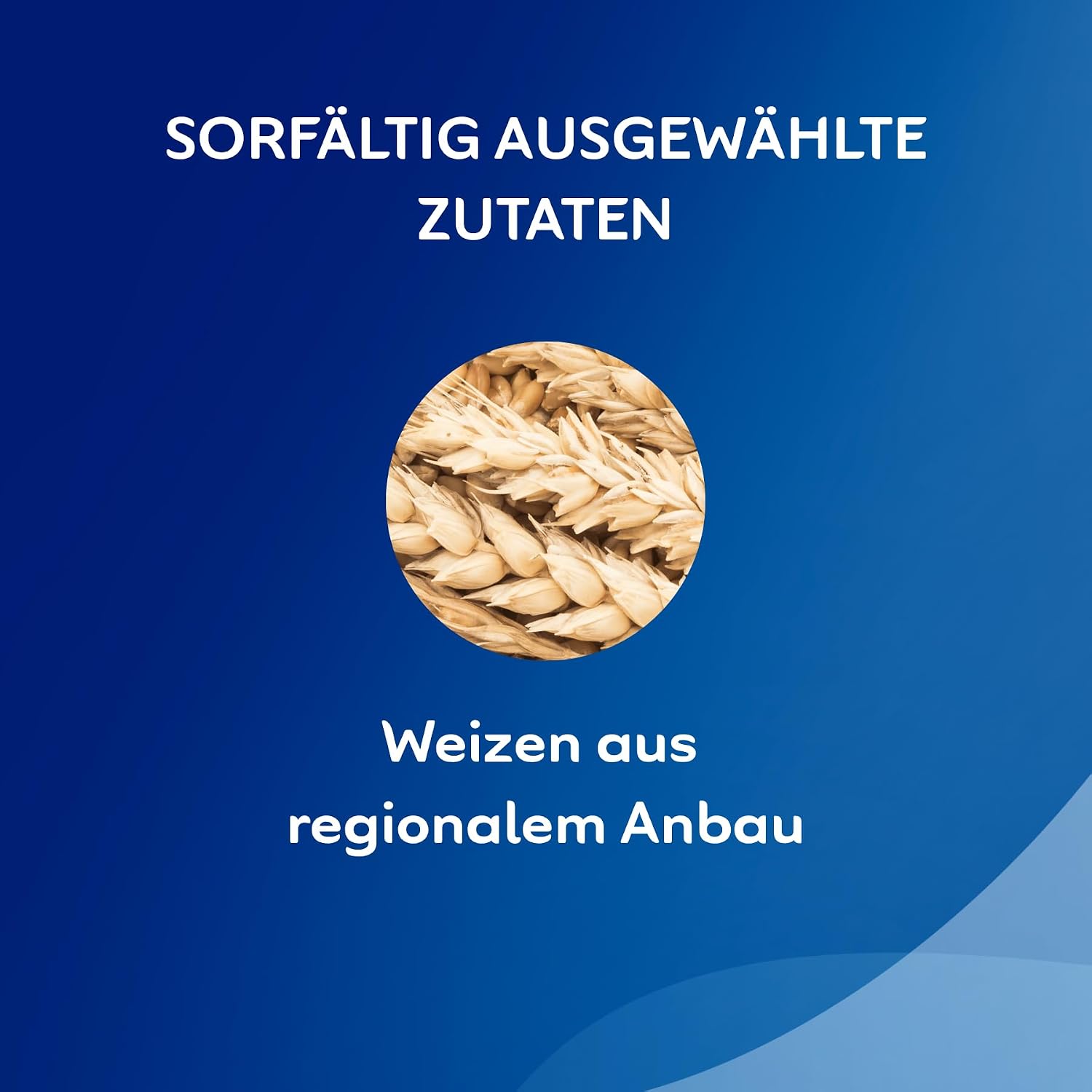 Bahlsen Zimtsterne - Pack of 1 Counter Dispensers - Hazelnut Cinnamon Pastry with White Glaze - Individually Wrapped (1 x 756 g) – Bild 6