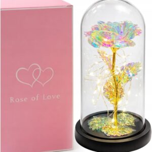 Eternal Rose in Glass with Gift Box, Gifts for Women, Mum Gift