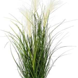 Artificial Pampas Grass 76 cm in Pot I Lifelike Artificial Pampas Grass Cream Colours I Decorative Grass for Indoor I High-Quality & Decorative Plant I Artificial Plant in Pot